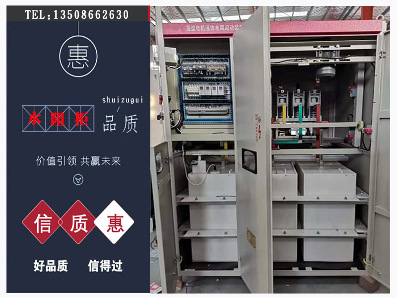 高壓電阻起動(dòng)柜,水電阻起動(dòng)柜,水阻柜,高壓水阻柜廠(chǎng)家